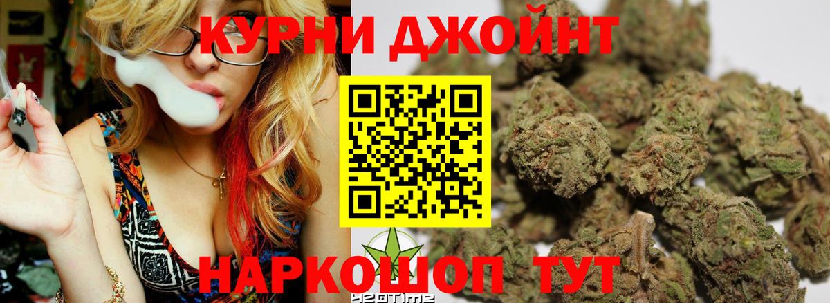 Бошки Шишки семена Карачаевск